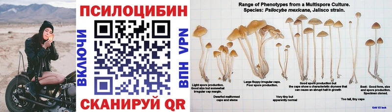 Галлюциногенные грибы прущие грибы  Сарапул 